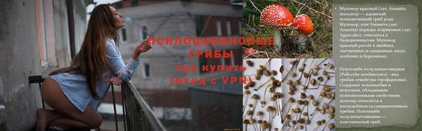экстази Арсеньев