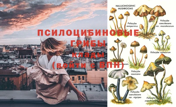 скорость Алексеевка